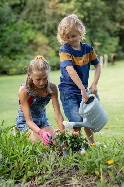 Glückliches Kaukasisches Geschwisterpaar Garten Pflanzen Gießen Und Gemeinsam Gärtnern Isolationshaft — Stockfoto