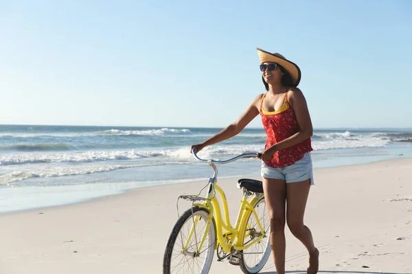 Glückliche Mischlingshündin Strandurlaub Beim Wandern Mit Dem Fahrrad Freizeit Freien — Stockfoto