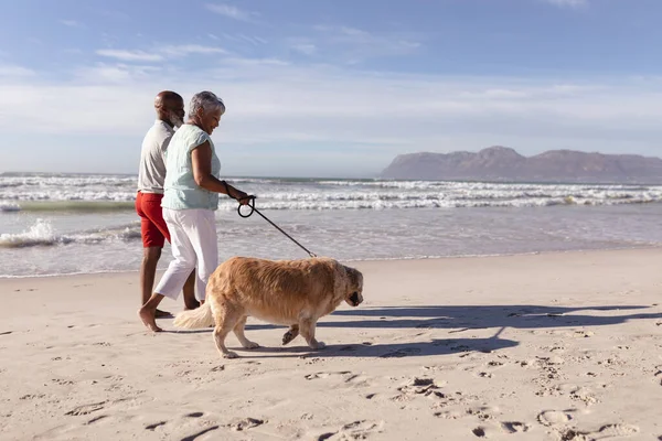 Coppia Afroamericana Anziana Che Porta Spasso Cane Spiaggia Viaggio Vacanza — Foto Stock