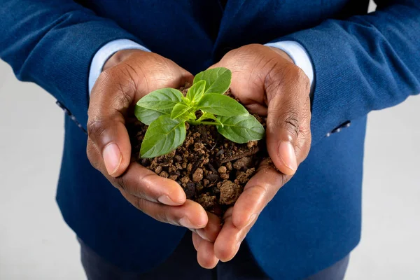 Μεσαίο Τμήμα Αφρο Αμερικανού Επιχειρηματία Που Κρατάει Ένα Φυτό Πάνω — Φωτογραφία Αρχείου