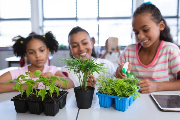 アフリカ系アメリカ人の女性教師と2人の少女が学校の授業で植物に水を吹きかける 学校や教育の概念 — ストック写真