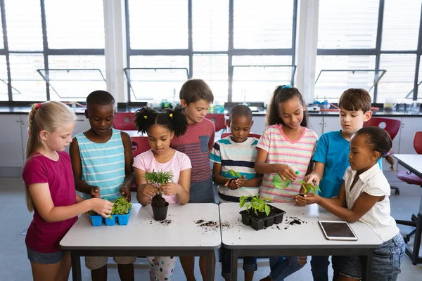 不同类型的学生在学校一起移植和浇灌植物幼苗 学校和教育概念 — 图库照片