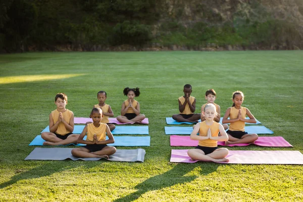 Group Diverse Students Practicing Yoga Meditating Sitting Yoga Mat Garden — Stock Photo, Image