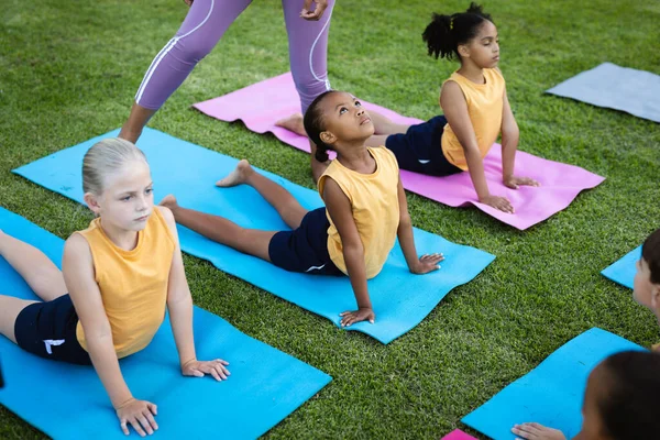 Grupp Olika Elever Som Utför Stretching Trädgården Skolan Skol Och — Stockfoto