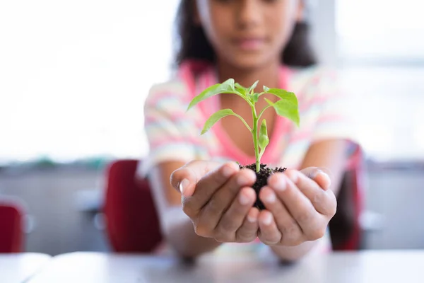 在学校的课上 有一半的女生坐在课桌上 手里拿着植物苗 学校和教育概念 — 图库照片