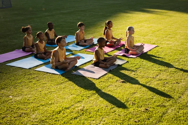 Grupo Diversos Estudiantes Practicando Yoga Meditando Sentados Colchonetas Yoga Jardín — Foto de Stock