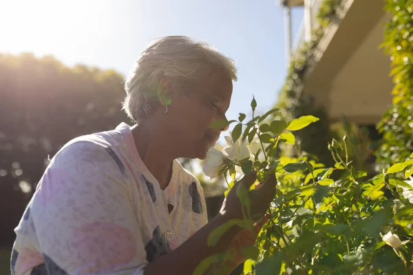 年长的非洲裔美国妇女在阳光灿烂的花园里嗅到了花朵的芬芳 退休和快乐的老年生活方式概念 — 图库照片