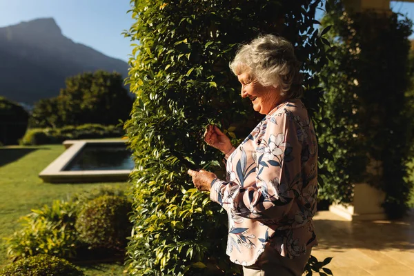 在阳光灿烂的花园里用智能手机对着高年级的高加索女人微笑 奢侈的退休生活 独自呆在家里 — 图库照片