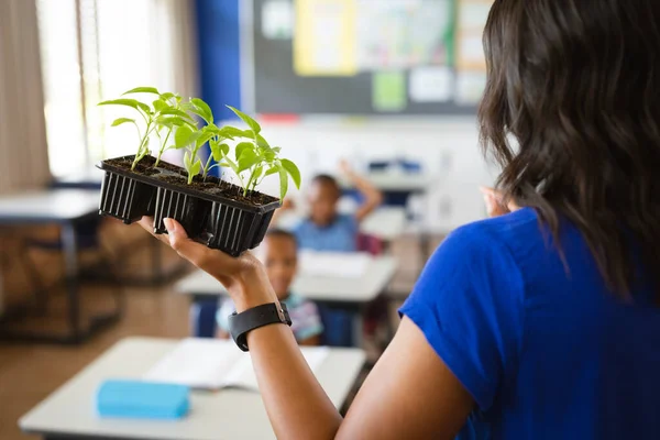 Visão Traseira Professora Segurando Mudas Plantas Enquanto Dava Aulas Escola — Fotografia de Stock