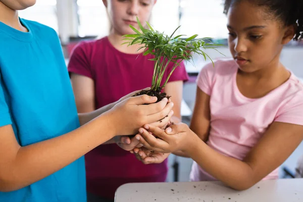 在小学的课堂上 不同类型的学生中间有一部分人一起抱着植物苗木 学校和教育概念 — 图库照片