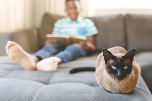 Niño Afroamericano Leyendo Libro Sentado Sofá Con Gato Sala Estar — Foto de Stock