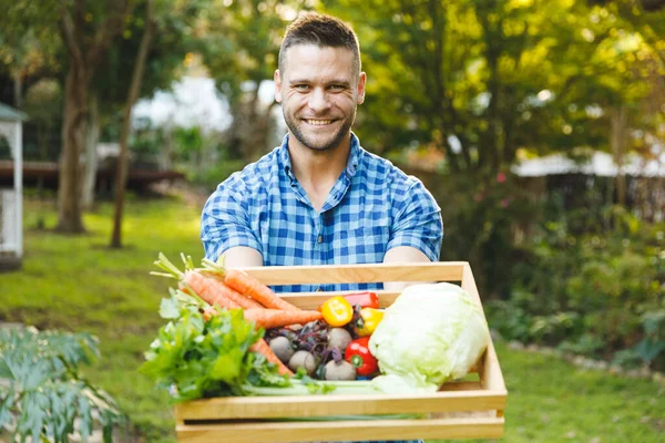 Portret Uśmiechniętego Białego Mężczyzny Stojącego Ogrodzie Pudełkiem Świeżych Organicznych Warzyw — Zdjęcie stockowe