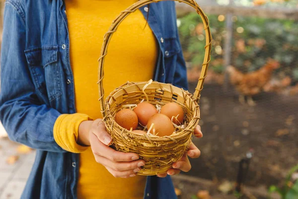 Bahçedeki Kümesten Yumurta Toplayan Bir Kız Sepeti Organik Üretim Kendi — Stok fotoğraf