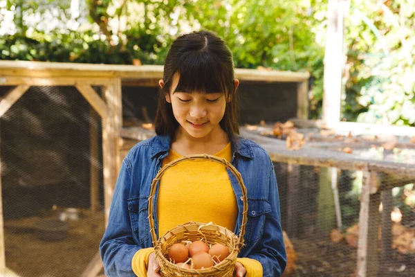アジアの女の子の笑顔とバスケットを保持し 庭の鶏の家から卵を収集します 家庭での有機的な生産と自給率は — ストック写真