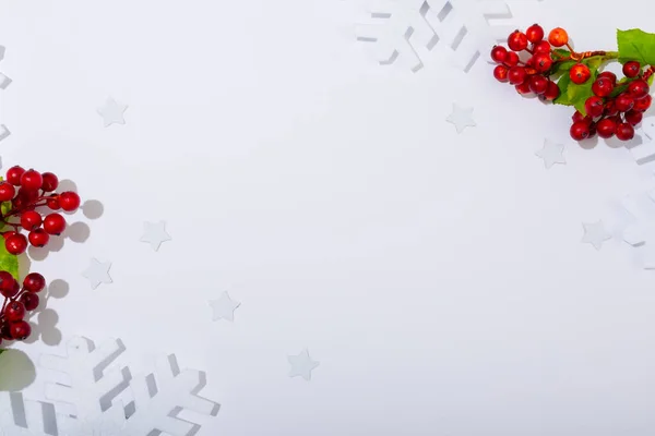 Samenstelling Van Boomtakken Met Bessen Kopieer Ruimte Witte Achtergrond Kerstmis — Stockfoto