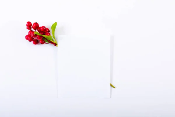 Composición Tarjeta Blanca Con Espacio Copia Ramificación Con Bayas Sobre — Foto de Stock