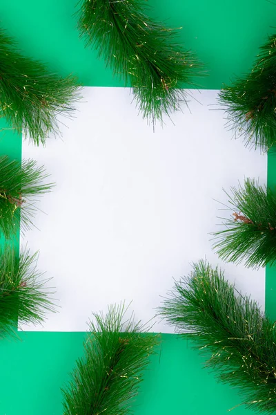 Composition White Card Copy Space Framed Fir Tree Branches Green — Stock Photo, Image