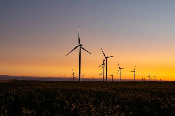 Vista Geral Das Turbinas Eólicas Paisagem Rural Durante Pôr Sol — Fotografia de Stock