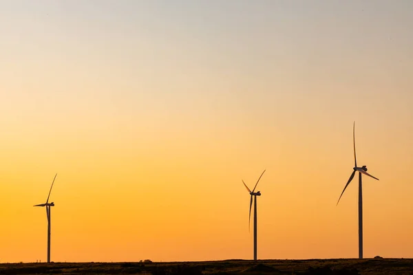 Allmän Bild Vindkraftverk Landsbygdslandskapet Solnedgången Miljö Hållbarhet Ekologi Förnybar Energi — Stockfoto