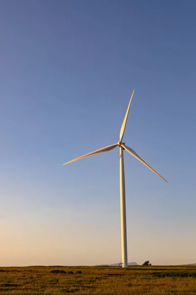 Vista General Turbina Eólica Paisaje Rural Con Cielo Despejado Medio — Foto de Stock