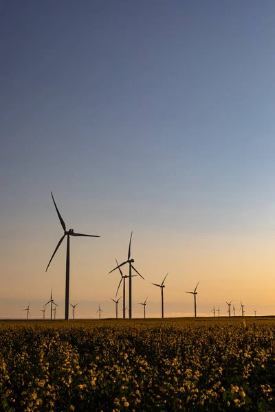 Gesamtansicht Von Windkraftanlagen Der Landschaft Mit Wolkenlosem Himmel Umwelt Nachhaltigkeit — Stockfoto