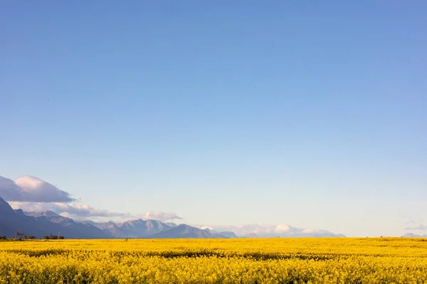 Vista Geral Paisagem Rural Com Céu Sem Nuvens Ambiente Sustentabilidade — Fotografia de Stock