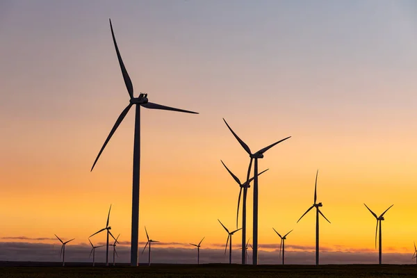 Algemeen Zicht Windturbines Landschap Bij Zonsondergang Milieu Duurzaamheid Ecologie Hernieuwbare — Stockfoto