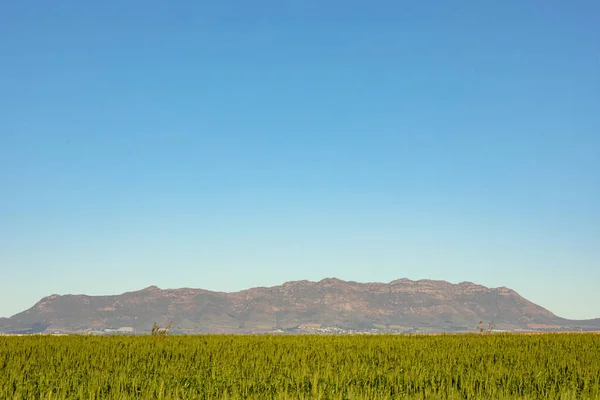 Vue Générale Paysage Campagne Avec Ciel Sans Nuages Environnement Durabilité — Photo