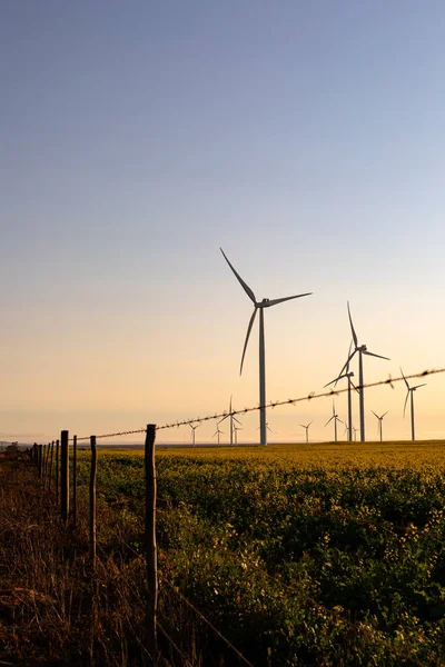 Vista Geral Das Turbinas Eólicas Paisagem Rural Com Céu Sem — Fotografia de Stock