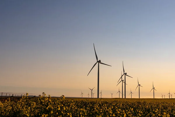 Gesamtansicht Von Windkraftanlagen Der Landschaft Mit Wolkenlosem Himmel Umwelt Nachhaltigkeit — Stockfoto