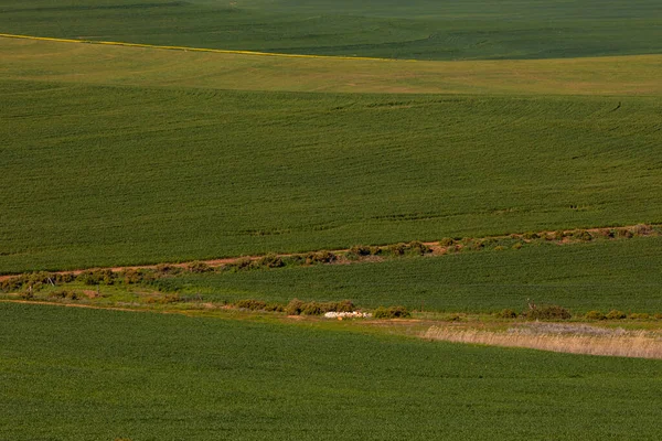 Vista Geral Paisagem Rural Ambiente Sustentabilidade Ecologia Energias Renováveis Aquecimento — Fotografia de Stock