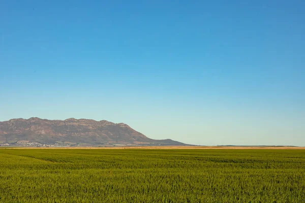 Vue Générale Paysage Campagne Avec Ciel Sans Nuages Environnement Durabilité — Photo