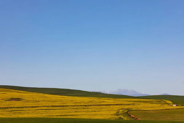 Vista Geral Paisagem Rural Com Céu Sem Nuvens Ambiente Sustentabilidade — Fotografia de Stock