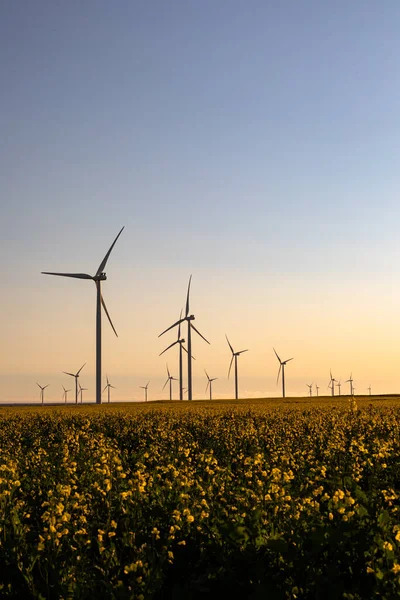 Vue Générale Des Éoliennes Dans Les Paysages Ruraux Avec Ciel — Photo