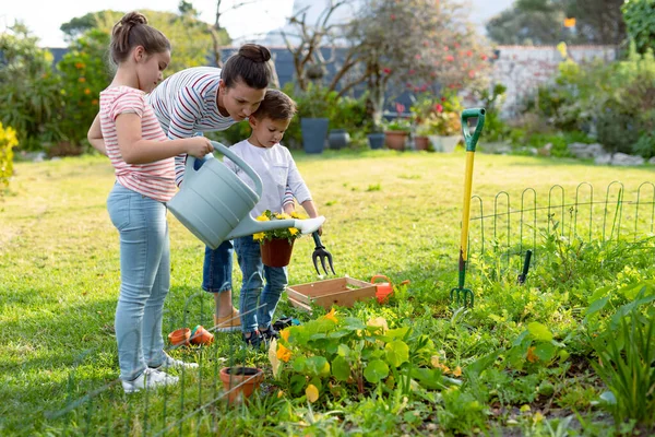 幸せな白人の母親 娘と息子は一緒に植物に水をやります 家族で家や庭で楽しみながら — ストック写真