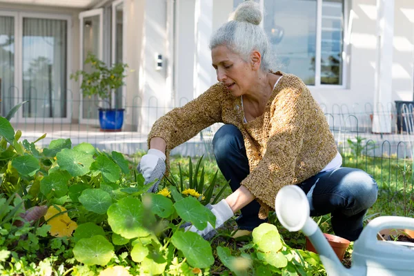 Blanke Oudere Vrouw Met Handschoenen Tuinieren Actieve Gezonde Pensionering Levensstijl — Stockfoto