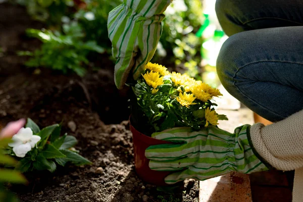 Handen Van Een Vrouw Die Handschoenen Draagt Bloemen Plant Verzorgen — Stockfoto