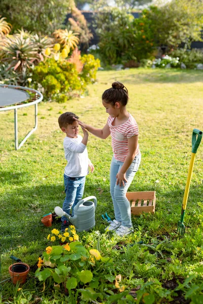 Irmã Caucasiana Feliz Irmão Jardinagem Juntos Dando Mais Cinco Tempo — Fotografia de Stock
