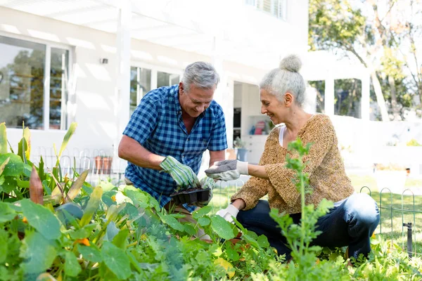 Feliz Pareja Ancianos Caucásicos Usando Guantes Jardinería Juntos Estilo Vida — Foto de Stock