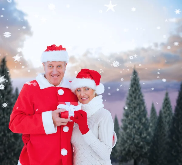 Pareja madura festiva sosteniendo regalo —  Fotos de Stock