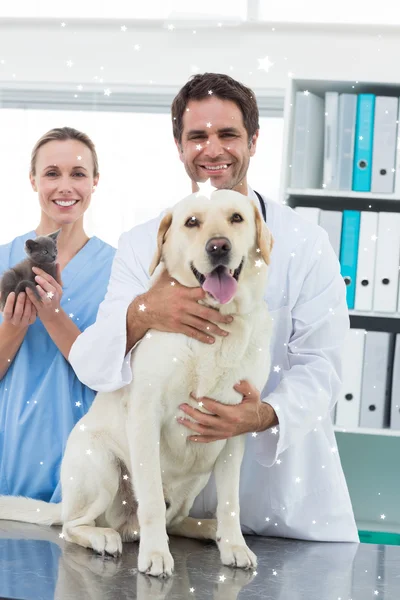 Veterinários com cão e gatinho — Fotografia de Stock