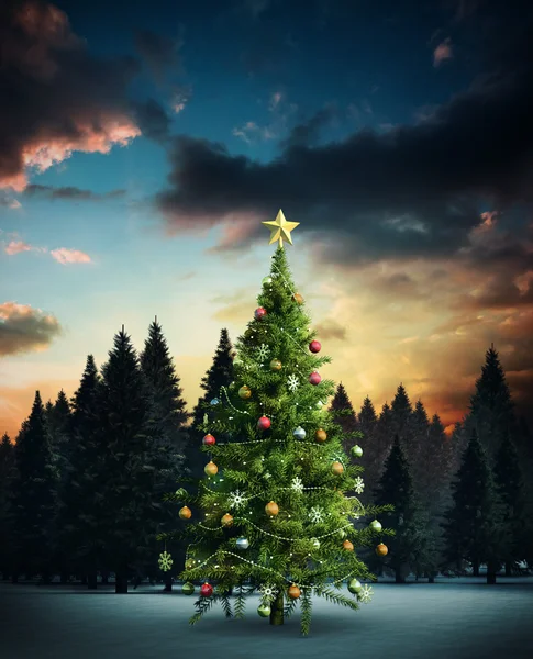 Composite image of christmas tree — Stock Photo, Image