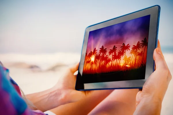 Tableta que muestra el fondo de palmera —  Fotos de Stock