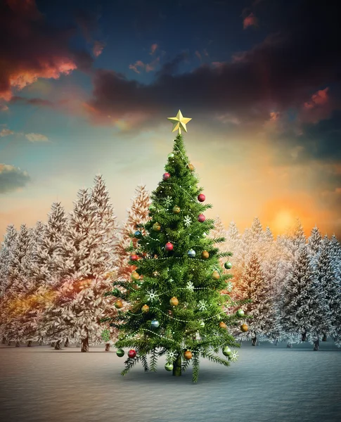 Composite image of christmas tree — Stock Photo, Image