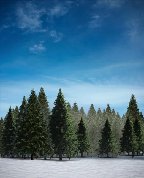 FIR tree forest i snöiga landskap — Stockfoto