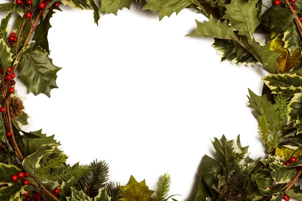 Holly and christmas branches forming frame — Stock Photo, Image