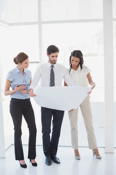 Business team reading a plan — Stock Photo, Image