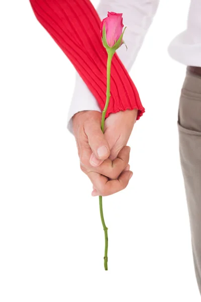 Close up of hands holding rose — Stock Photo, Image