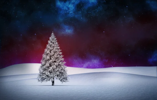FIR tree i snöiga landskap — Stockfoto