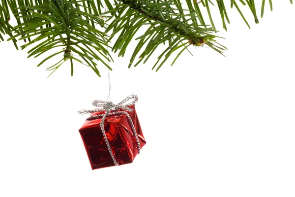 Red christmas decoration hanging from branch — Stock Photo, Image